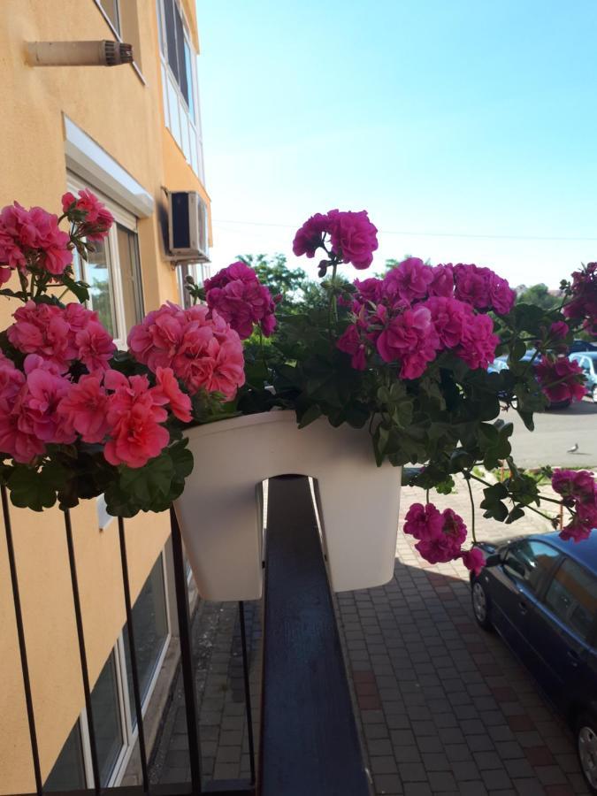 Angel Apartament Sibiu Luaran gambar