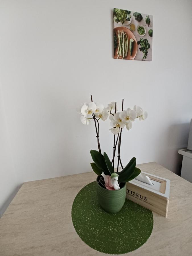 Angel Apartament Sibiu Luaran gambar